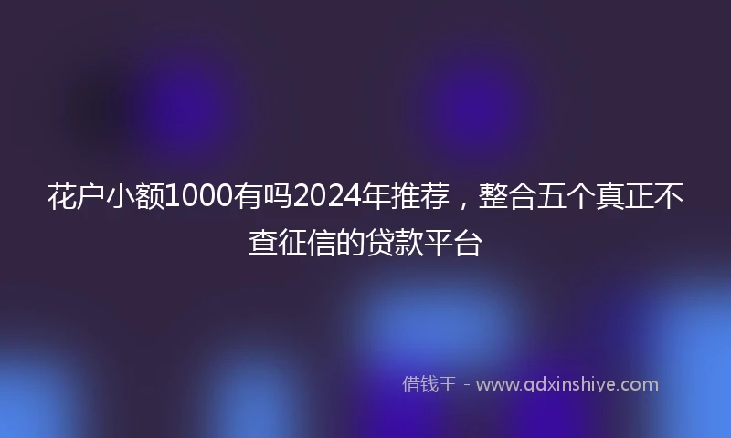 花户小额1000有吗2024年推荐，整合五个真正不查征信的贷款平台