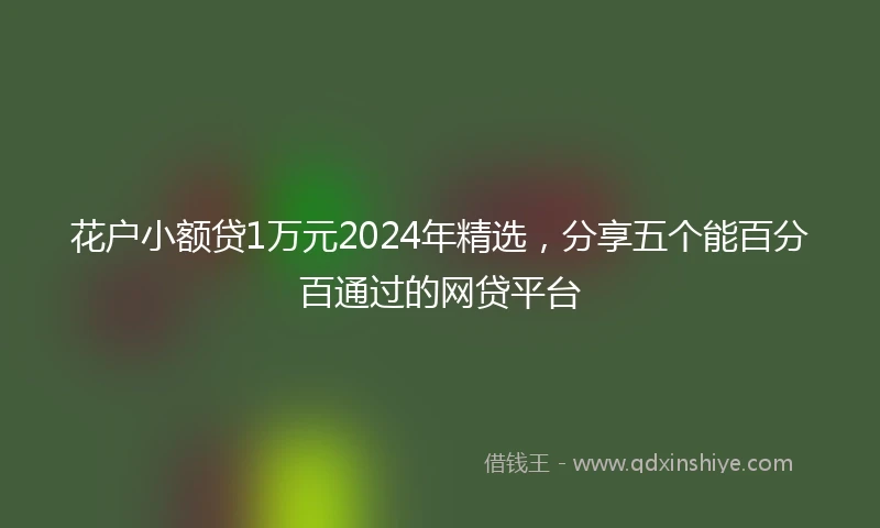 花户小额贷1万元2024年精选，分享五个能百分百通过的网贷平台