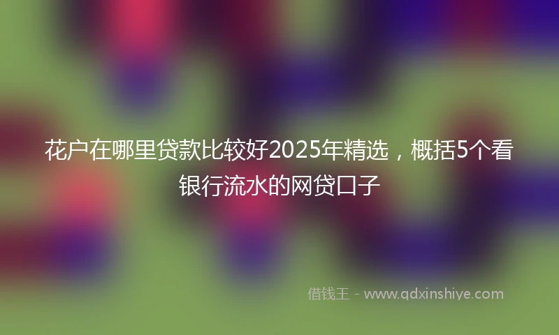 花户在哪里贷款比较好2025年精选，概括5个看银行流水的网贷口子