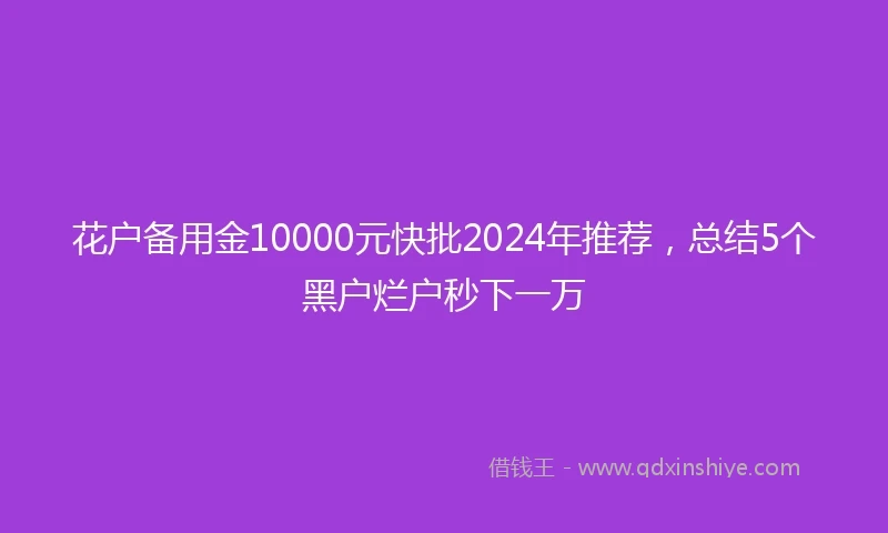 花户备用金10000元快批2024年推荐，总结5个黑户烂户秒下一万