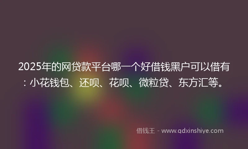 2025年的网贷款平台哪一个好借钱黑户可以借有：小花钱包、还呗、花呗、微粒贷、东方汇等。