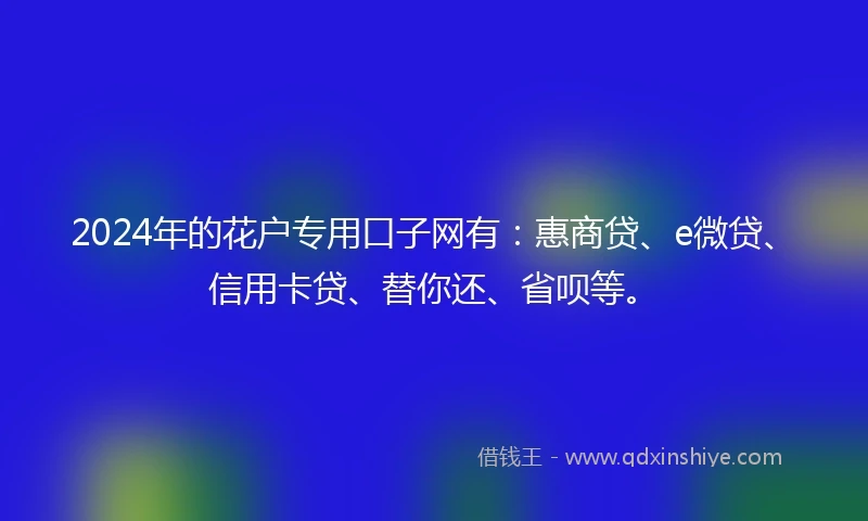 2024年的花户专用口子网有：惠商贷、e微贷、信用卡贷、替你还、省呗等。
