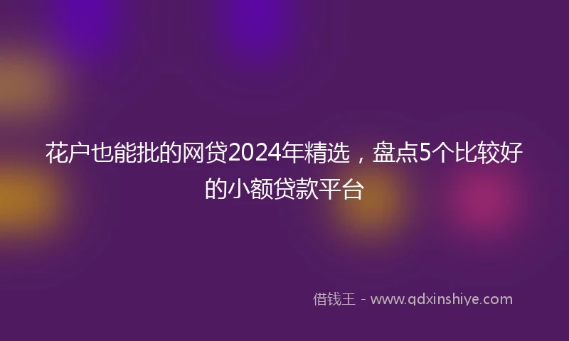 花户也能批的网贷2024年精选，盘点5个比较好的小额贷款平台