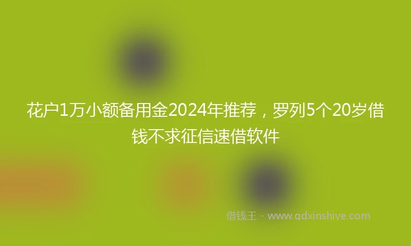 花户1万小额备用金2024年推荐，罗列5个20岁借钱不求征信速借软件