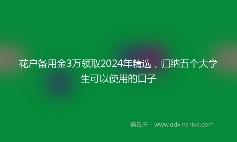 花户备用金3万领取2024年精选，归纳五个大学生可以使用的口子