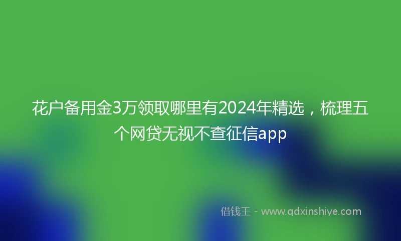 花户备用金3万领取哪里有2024年精选，梳理五个网贷无视不查征信app