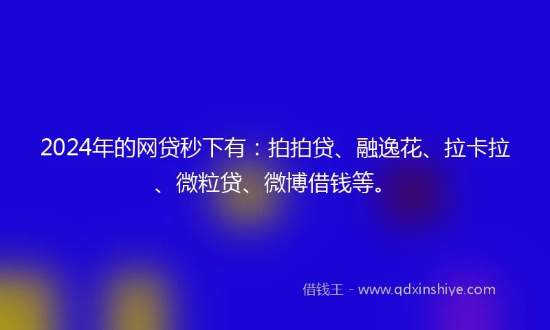 2024年的网贷秒下有：拍拍贷、融逸花、拉卡拉、微粒贷、微博借钱等。