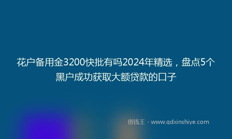 花户备用金3200快批有吗2024年精选，盘点5个黑户成功获取大额贷款的口子