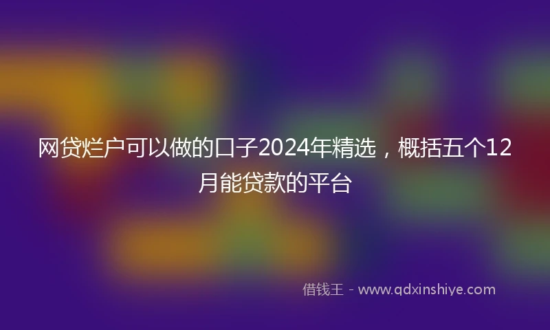 网贷烂户可以做的口子2024年精选,概括五个12月能贷款的平台