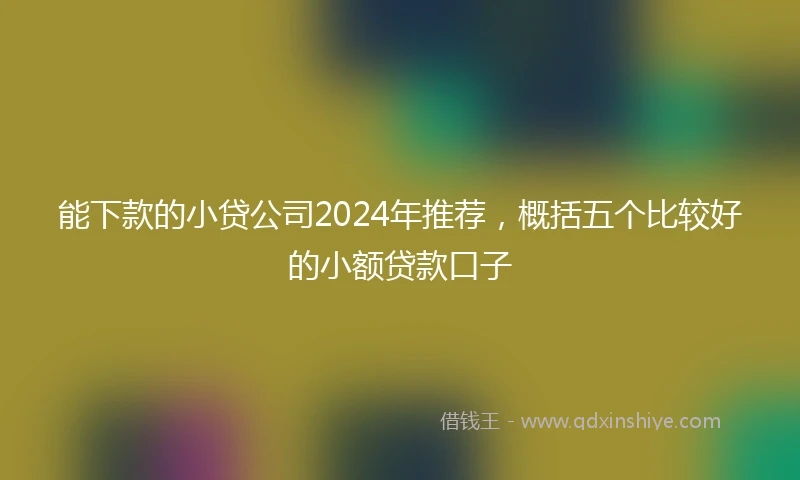 能下款的小贷公司2024年推荐，概括五个比较好的小额贷款口子