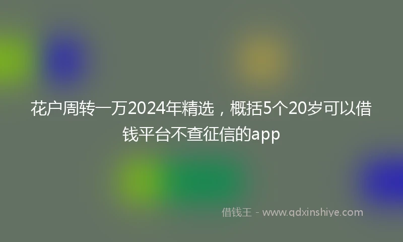 花户周转一万2024年精选，概括5个20岁可以借钱平台不查征信的app