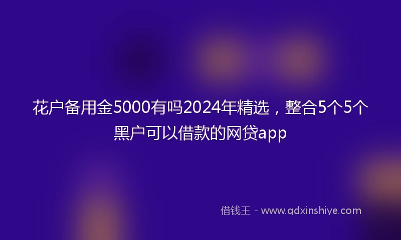 花户备用金5000有吗2024年精选，整合5个5个黑户可以借款的网贷app
