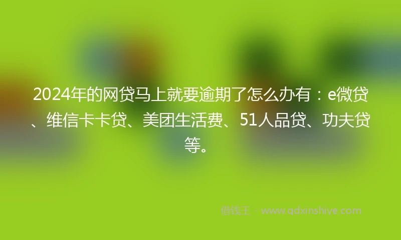 2024年的网贷马上就要逾期了怎么办有：e微贷、维信卡卡贷、美团生活费、51人品贷、功夫贷等。