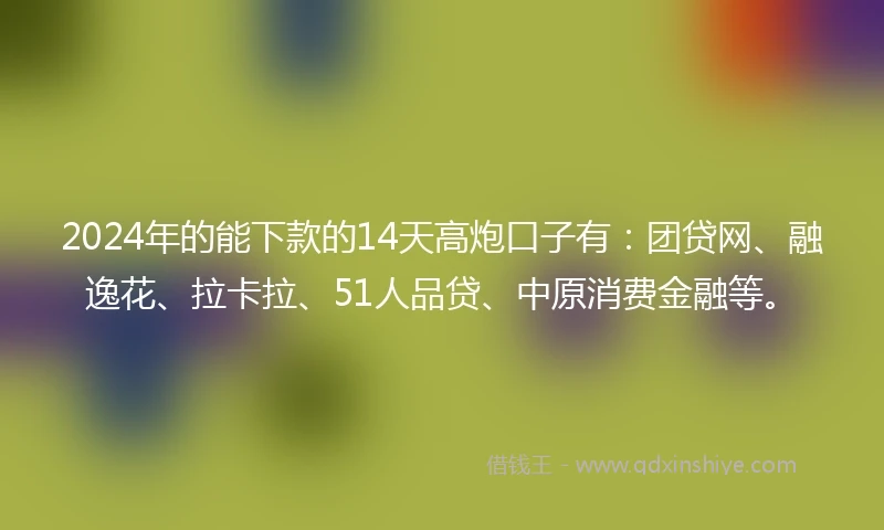 2024年的能下款的14天高炮口子有：团贷网、融逸花、拉卡拉、51人品贷、中原消费金融等。