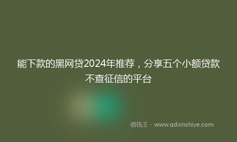 能下款的黑网贷2024年推荐，分享五个小额贷款不查征信的平台