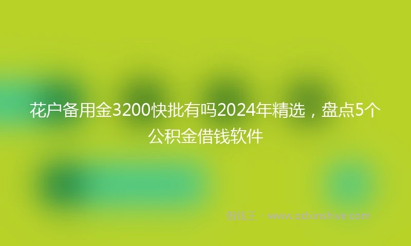 花户备用金3200快批有吗2024年精选，盘点5个公积金借钱软件