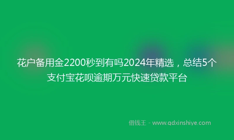 花户备用金2200秒到有吗2024年精选，总结5个支付宝花呗逾期万元快速贷款平台