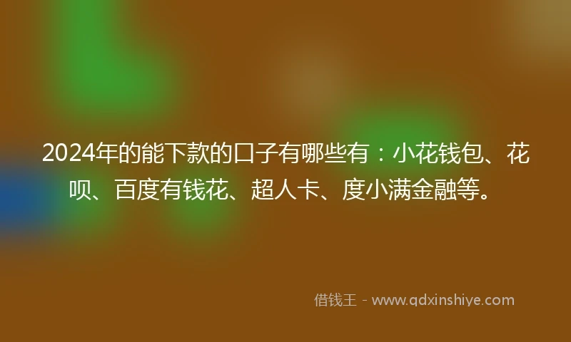 2024年的能下款的口子有哪些有：小花钱包、花呗、百度有钱花、超人卡、度小满金融等。