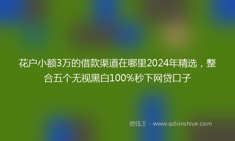 花户小额3万的借款渠道在哪里2024年精选，整合五个无视黑白100%秒下网贷口子