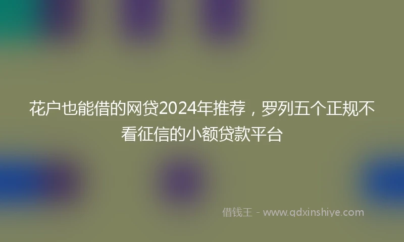花户也能借的网贷2024年推荐，罗列五个正规不看征信的小额贷款平台