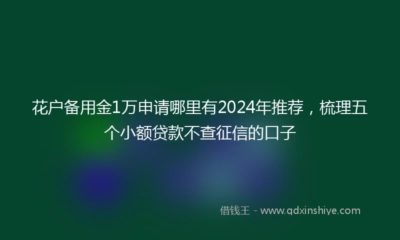 花户备用金1万申请哪里有2024年推荐，梳理五个小额贷款不查征信的口子
