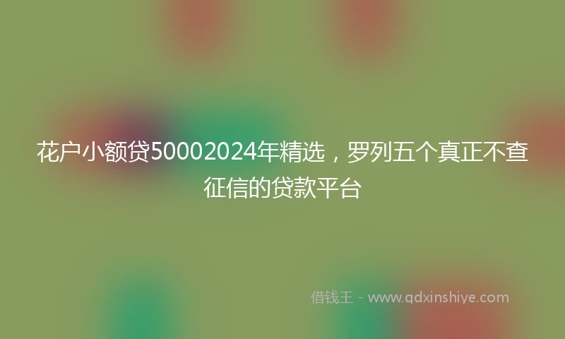 花户小额贷50002024年精选，罗列五个真正不查征信的贷款平台