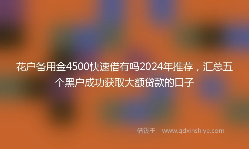 花户备用金4500快速借有吗2024年推荐，汇总五个黑户成功获取大额贷款的口子