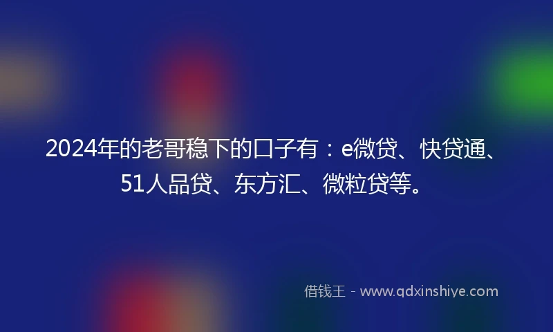 2024年的老哥稳下的口子有：e微贷、快贷通、51人品贷、东方汇、微粒贷等。