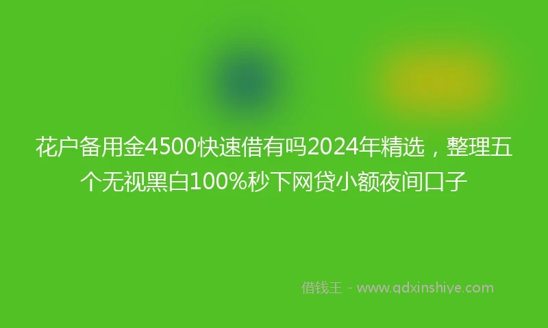 花户备用金4500快速借有吗2024年精选，整理五个无视黑白100%秒下网贷小额夜间口子