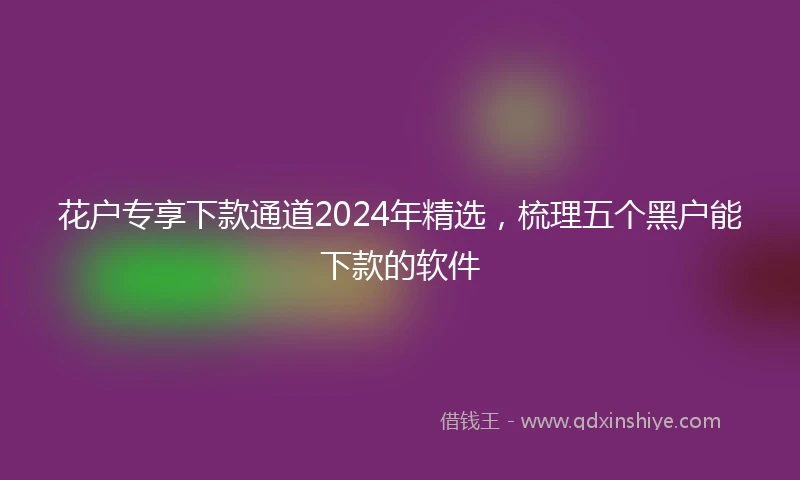 花户专享下款通道2024年精选，梳理五个黑户能下款的软件