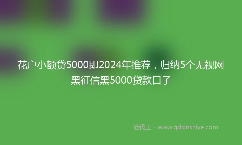 花户小额贷5000即2024年推荐,归纳5个无视网黑征信黑5000贷款口子