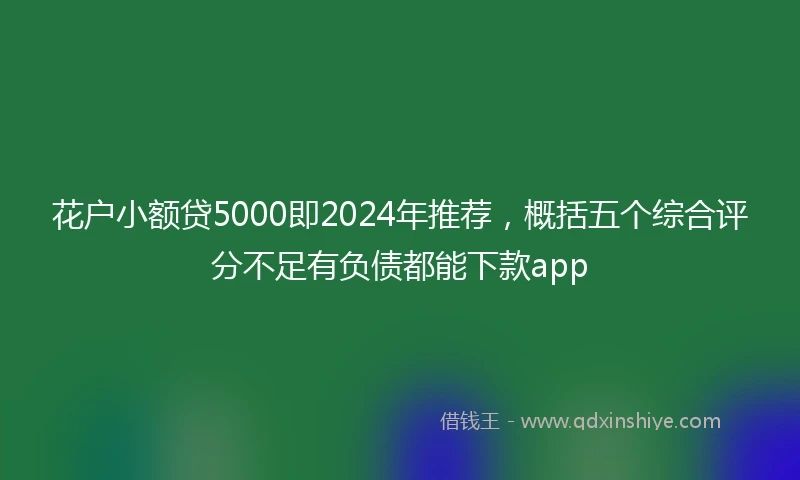 花户小额贷5000即2024年推荐，概括五个综合评分不足有负债都能下款app