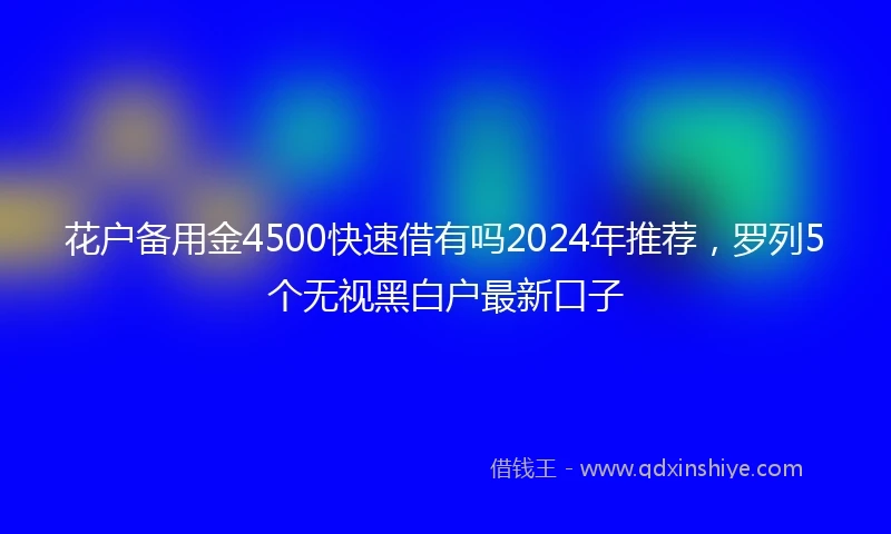 花户备用金4500快速借有吗2024年推荐，罗列5个无视黑白户最新口子