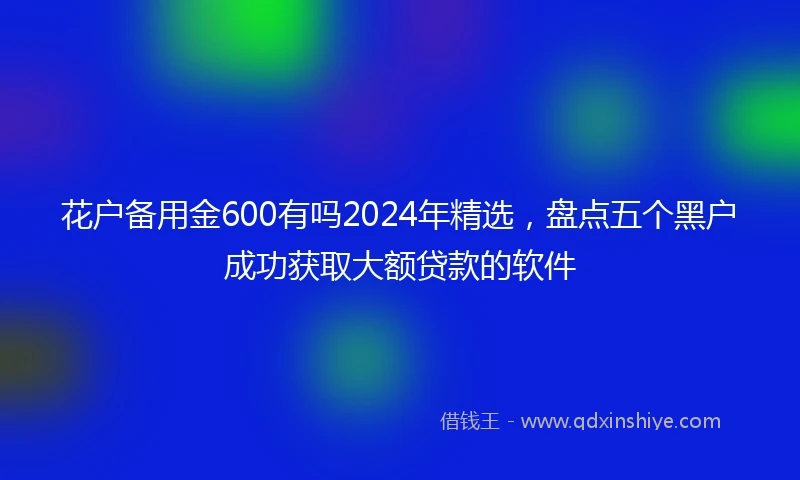 花户备用金600有吗2024年精选，盘点五个黑户成功获取大额贷款的软件