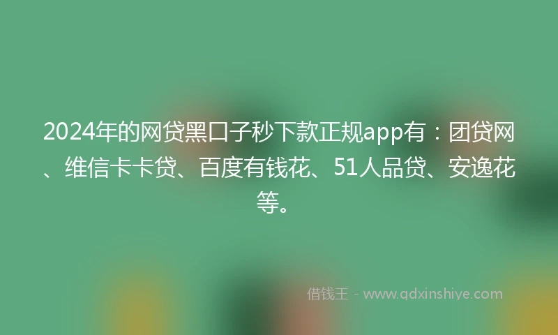 2024年的网贷黑口子秒下款正规app有：团贷网、维信卡卡贷、百度有钱花、51人品贷、安逸花等。