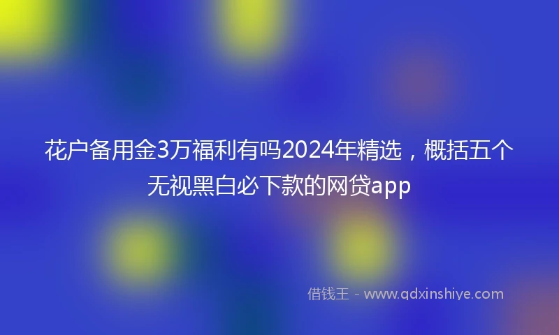 花户备用金3万福利有吗2024年精选，概括五个无视黑白必下款的网贷app