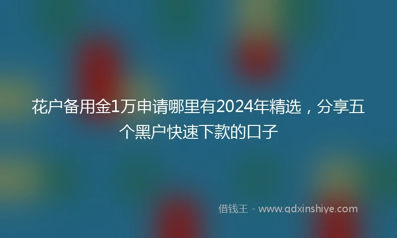 花户备用金1万申请哪里有2024年精选，分享五个黑户快速下款的口子