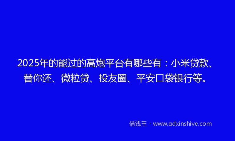 2025年的能过的高炮平台有哪些有：小米贷款、替你还、微粒贷、投友圈、平安口袋银行等。