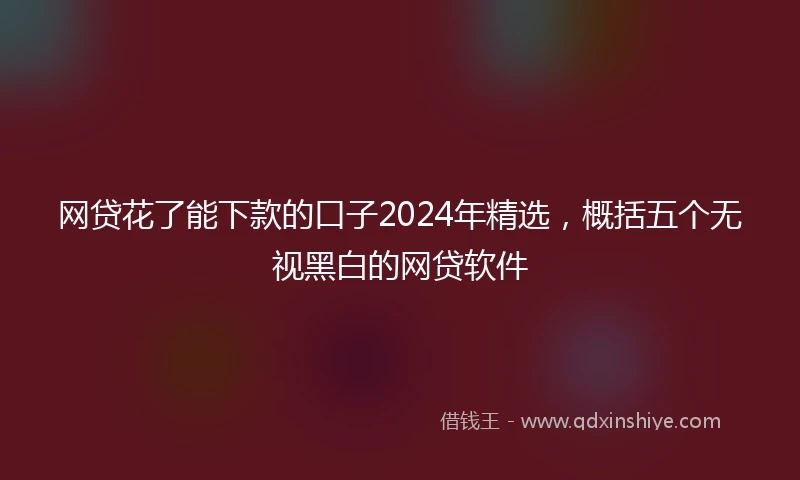网贷花了能下款的口子2024年精选，概括五个无视黑白的网贷软件