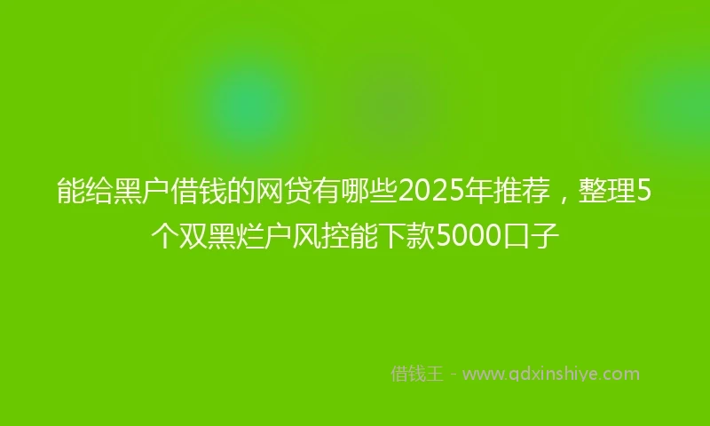 能给黑户借钱的网贷有哪些2025年推荐，整理5个双黑烂户风控能下款5000口子