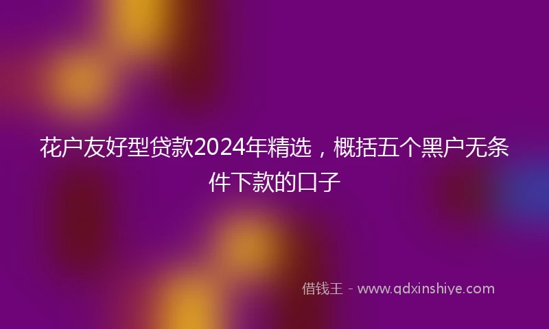 花户友好型贷款2024年精选，概括五个黑户无条件下款的口子