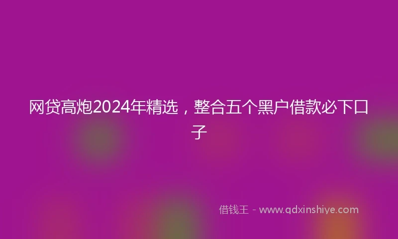 网贷高炮2024年精选，整合五个黑户借款必下口子