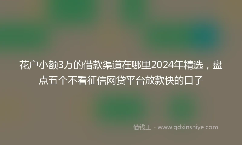 花户小额3万的借款渠道在哪里2024年精选，盘点五个不看征信网贷平台放款快的口子