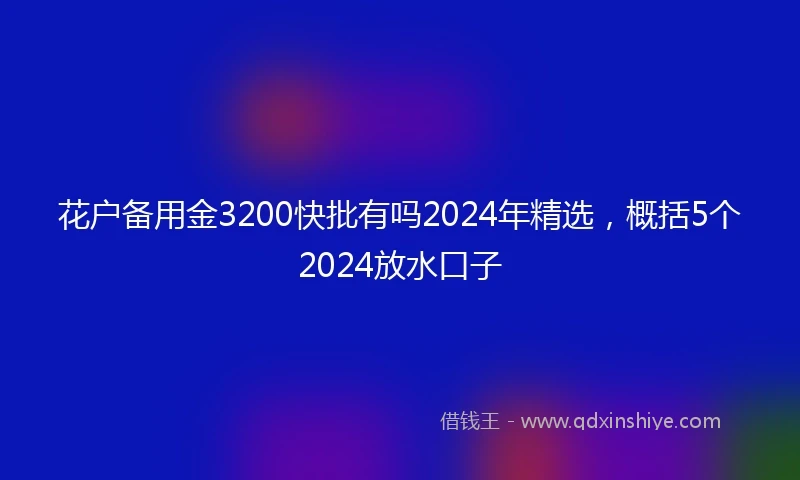 花户备用金3200快批有吗2024年精选，概括5个2024放水口子