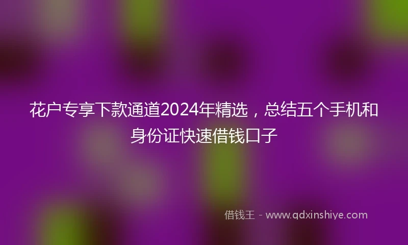 花户专享下款通道2024年精选，总结五个手机和身份证快速借钱口子