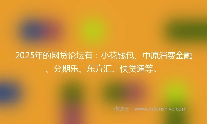 2025年的网贷论坛有：小花钱包、中原消费金融、分期乐、东方汇、快贷通等。