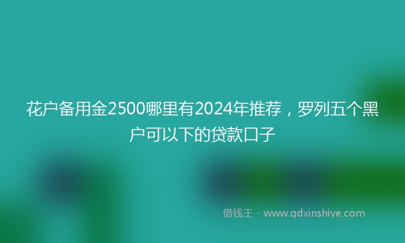 花户备用金2500哪里有2024年推荐，罗列五个黑户可以下的贷款口子