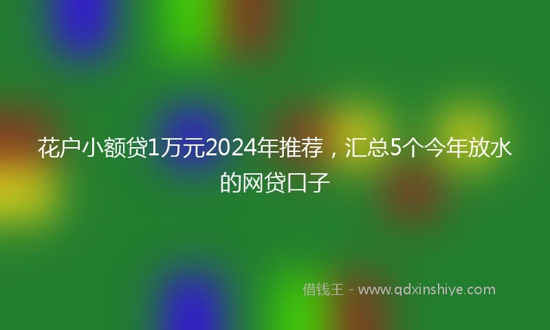 花户小额贷1万元2024年推荐，汇总5个今年放水的网贷口子