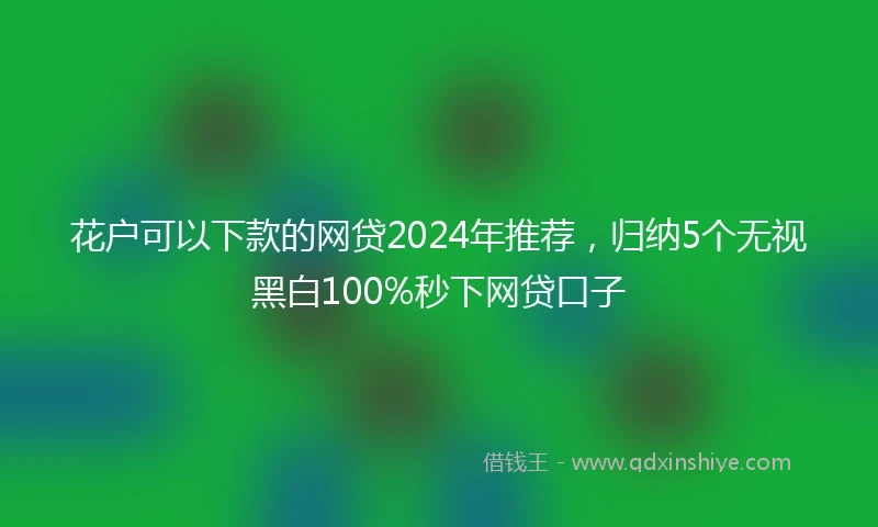 花户可以下款的网贷2024年推荐，归纳5个无视黑白100%秒下网贷口子