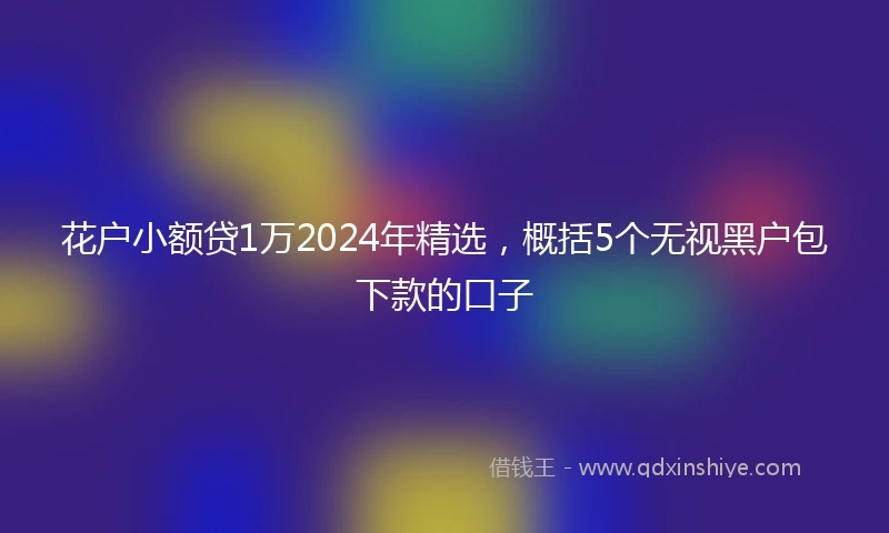 花户小额贷1万2024年精选,概括5个无视黑户包下款的口子